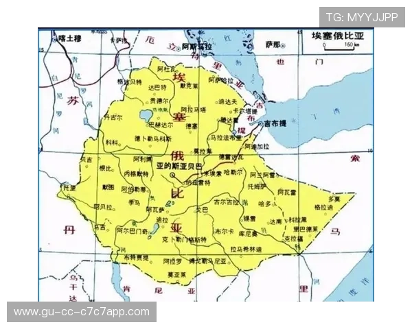 埃塞俄比亚足球世界球星崛起之路与成就分析