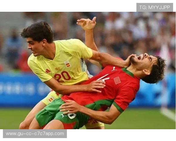 瑞士足球队的顶级球星与他们的辉煌职业生涯解析